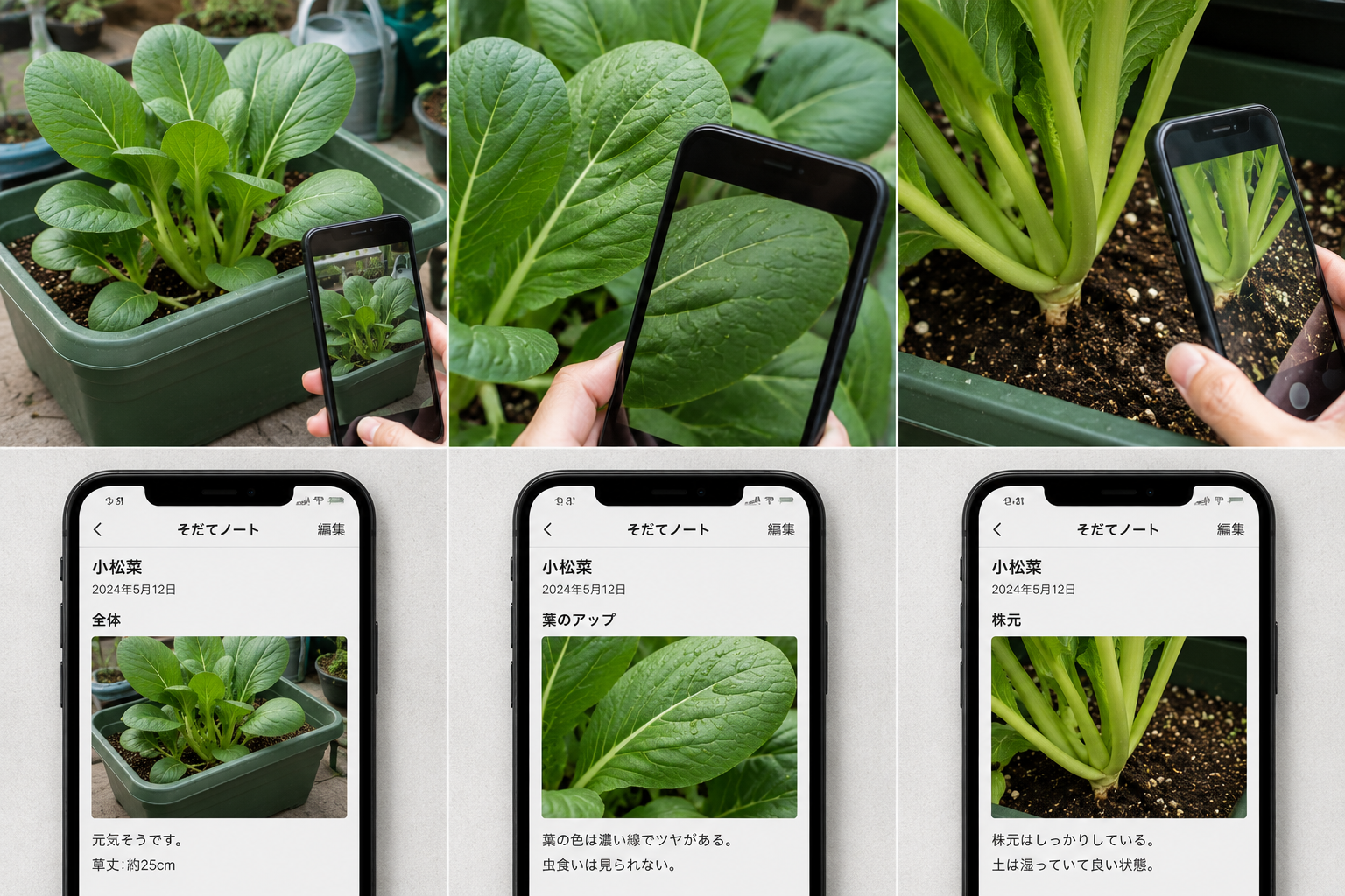 複数日の記録を見返しているイメージ