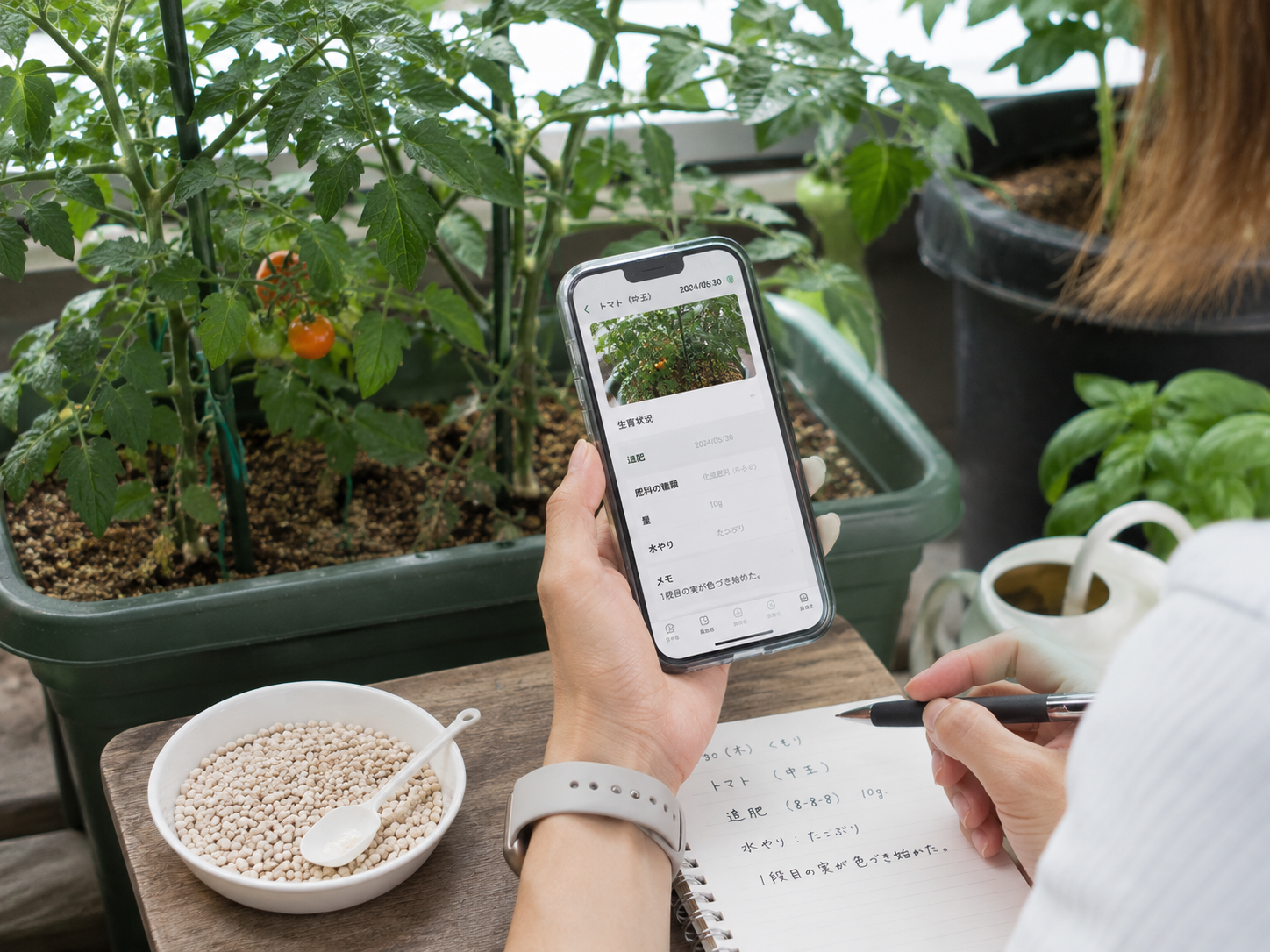 肥料記録をアプリで見返しているイメージ