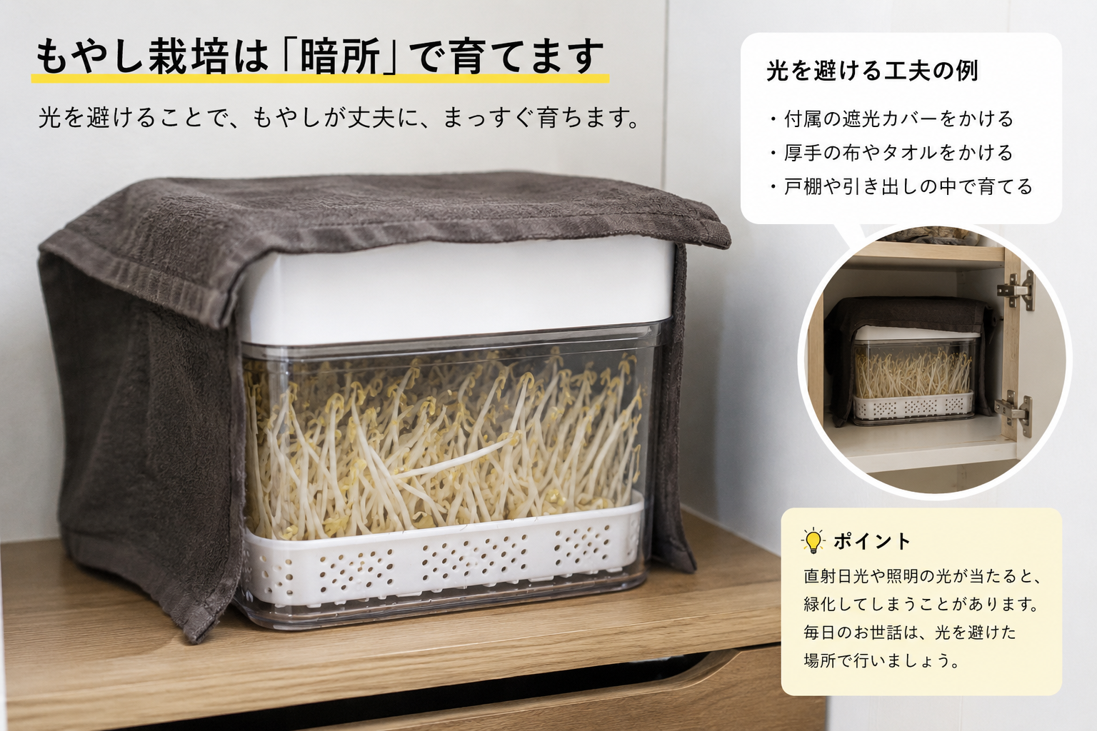 暗めの環境でもやしを管理しているイメージ