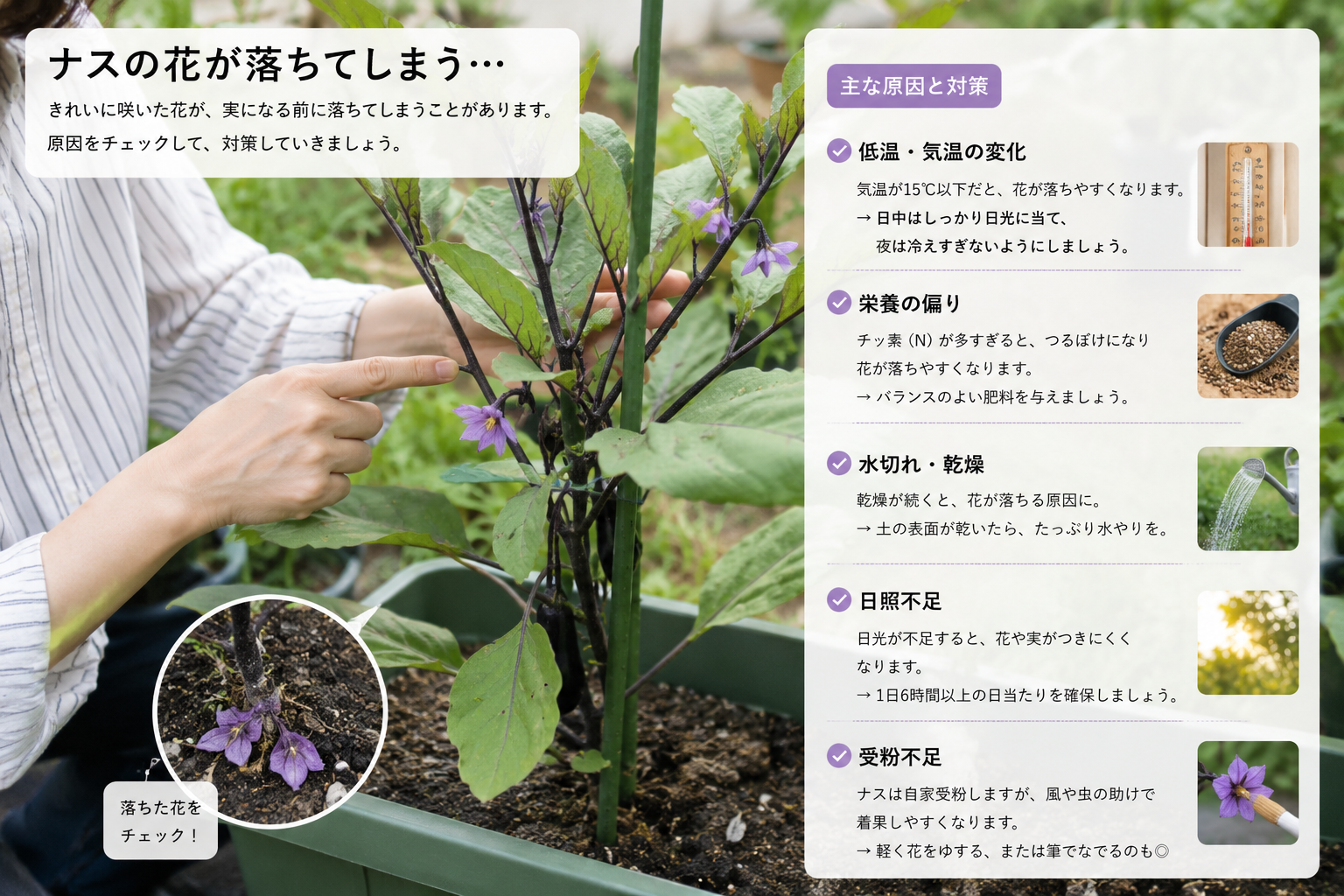 ナスの花が落ちる原因は？実がつかないときの見直しポイント