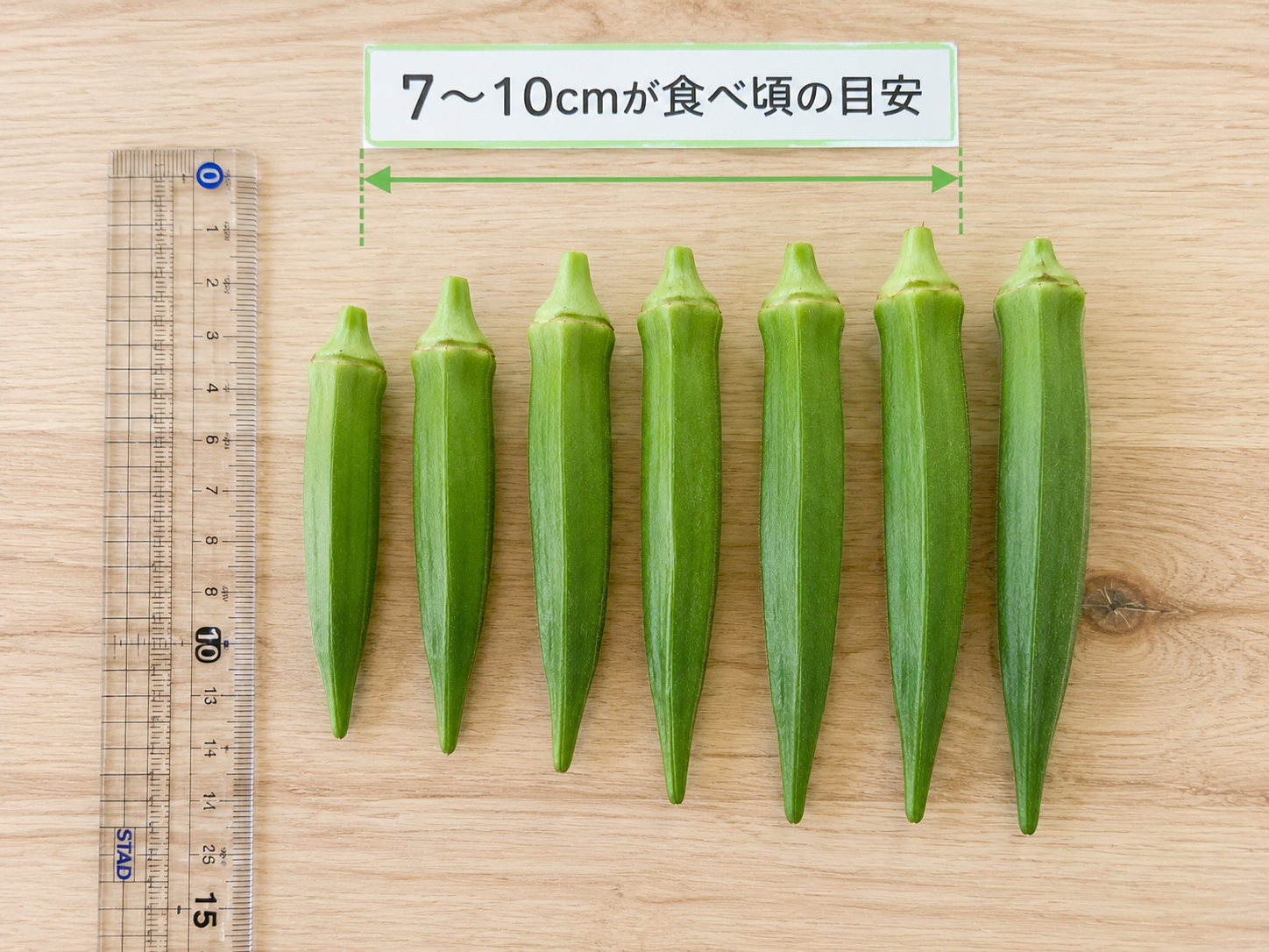 オクラの収穫サイズの目安