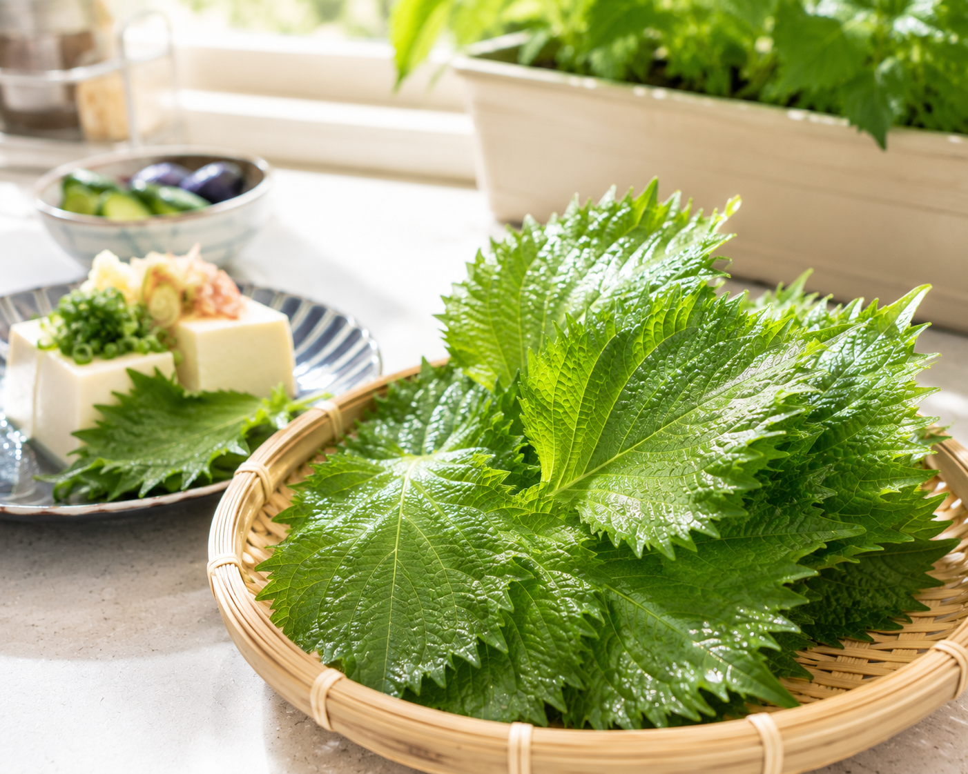 収穫した大葉を食卓で使うイメージの実写写真